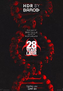 惊变28年