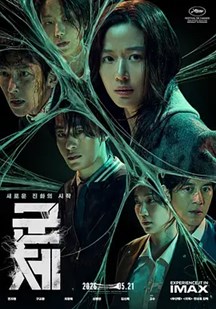 群体